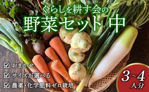 丸山農園の野菜セット 中セット 3~4人用 おまかせ 6～8品目 無農薬 くらしを耕す会 野菜 やさい サラダ 健康 人参 玉ねぎ 大根 野菜 やさい サラダ 健康 人参 玉ねぎ 大根 野菜 やさい サラダ 健康 人参 玉ねぎ 大根 野菜 やさい サラダ 健康 人参 玉ねぎ 大根 野菜 やさい サラダ 健康 人参 玉ねぎ 大根 ふるさと納税野菜 ふるさと納税サラダ 愛知県 南知多町 1552393 - 愛知県南知多町