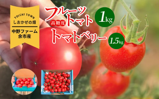 〔先行受付〕しおかぜの畑 中野ファーム 余市産 フルーツトマト 1kg・トマトベリー 1.5kgセット(2025年初夏発送) 高糖度トマト・ミニトマト 1018526 - 北海道余市町