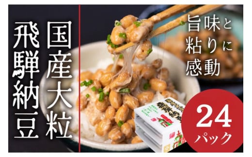 飛騨納豆 国産大豆の大粒 納豆　3パック×8　合計24パック