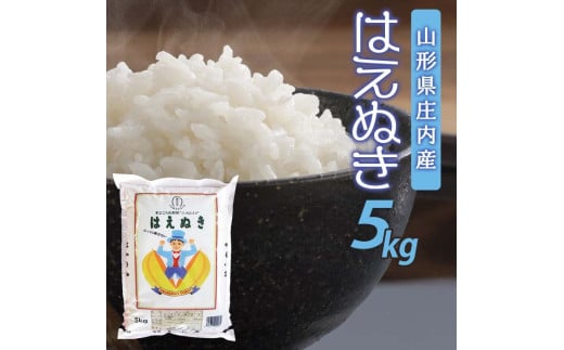 SA2457　令和6年産【精米】はえぬき　5kg×1袋 AB