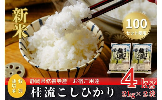 （ 数量限定 100 セット） 新米　 静岡 伊豆 修善寺産  桂流 こしひかり ４㎏ （ 2kg × 2袋 ）【 コシヒカリ 白米 お米 精米 国産 米 ごはん 特別栽培米 お取り寄せ 静岡県 伊豆市】 009-005