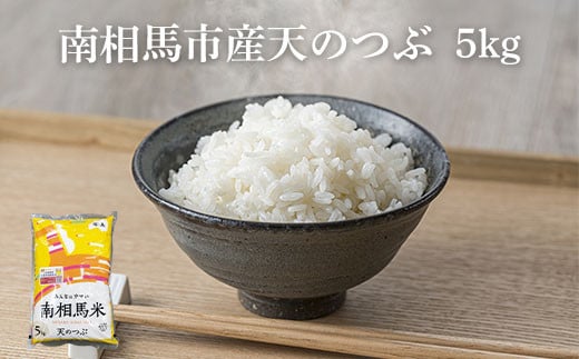 【令和6年産】南相馬市産「天のつぶ」５kg ふくしま未来農協 JA 精米 白米 コメ ごはん ブランド米 大粒 南相馬 福島 オリジナル 品種 福島県産 お取り寄せ 炊き立て おかゆ カレー 送料無料 ふるさと納税 オンライン申請【2200101】 551019 - 福島県南相馬市