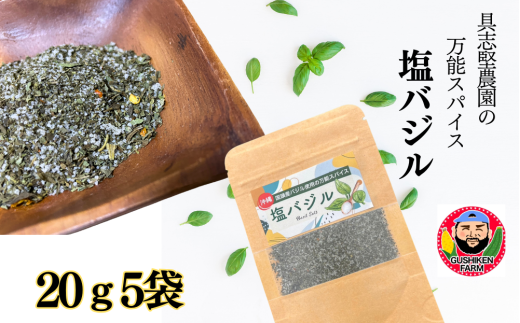 具志堅農園の自家製「塩バジル」　20g×5袋	