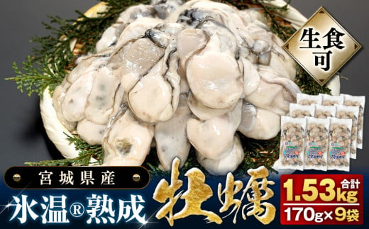 【 先行予約 】 生食用 牡蠣 宮城県産 氷温熟成 かき 生食用（冷凍）170g×9袋 約1.5kg 小分け 冷凍 バラバラ冷凍 2025年3月中旬から順次発送予定 851568 - 宮城県石巻市