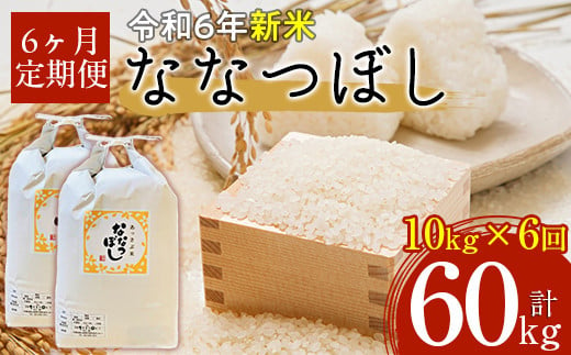 【令和6年産 新米】北海道厚沢部産ななつぼし60kg（10kg×6ヶ月連続お届け） 【 ふるさと納税 人気 おすすめ ランキング 米 ご飯 ごはん 白米 ななつぼし 精米 つや 粘り  北海道 厚沢部 送料無料 】 ASG023 680655 - 北海道厚沢部町