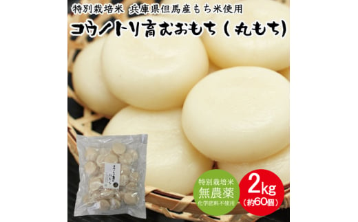 丸餅 コウノトリ育むおもち 2kg（1kg×2袋 約60個入り）/ 丸餅 切り餅 個包装 特別栽培米 無農薬 化学肥料不使用 但馬産 添加物不使用 常温保存 国産 おもち お餅 餅 まる餅 白餅 焼き餅 雑煮 お正月 正月用 柔らかい コシがある 煮崩れしにくい 1553259 - 兵庫県豊岡市