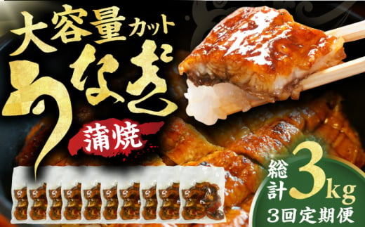 【3回定期便】中国産ニホンウナギ　大容量刻み鰻個食パック 計1kg（100g×10P） 広川町 / イールファクトリー株式会社 [AFBS002]