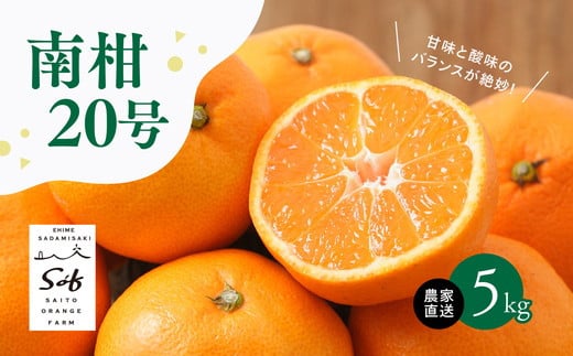 【先行予約】Saito Orange Farmの南柑20号5kg ｜ 温州みかん 代表 柑橘 みかん ミカン フルーツ  果物 愛媛　※離島への配送不可　※2024年12月上旬頃より順次発送予定 1162938 - 愛媛県伊方町