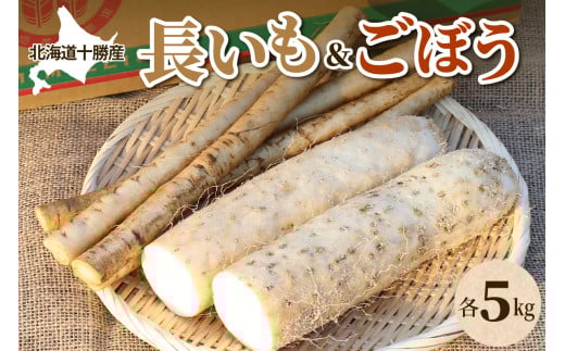 北海道十勝芽室町 ファーム・ミリオンの長芋ごぼうセット 10kg me016-014c 1553927 - 北海道芽室町