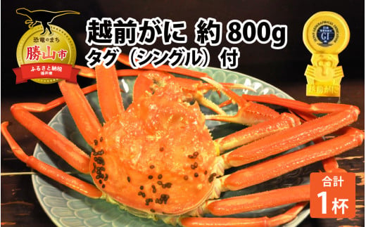 越前ずわいがに 約800g × 1杯 タグ（シングル）付 [H-044001] 1554582 - 福井県勝山市