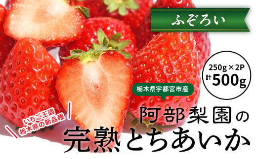 阿部梨園の完熟とちあいか（ふぞろい）　※離島への配送不可　※2024年12月上旬～2025年5月中旬頃に順次発送予定 1553049 - 栃木県宇都宮市