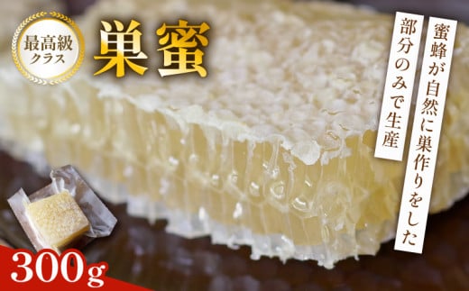 巣蜜(コムハニー) 約300g 巣蜜 コムハニー ハチミツ はちみつ ハニー honey 国産 甘い 甘味 真空パック 数量限定 京都府