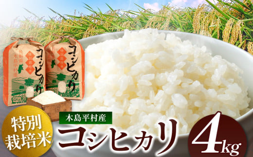 木島平産 コシヒカリ 約4kg | 米 白米 精米 特別栽培米 コシヒカリ こしひかり お米 おこめ 減農薬 長野県 木島平村 信州 1293966 - 長野県木島平村