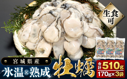 【 先行予約 】 生食用 牡蠣 宮城県産 氷温熟成 かき 生食用（冷凍）170g×3袋 510g 小分け 冷凍 バラバラ冷凍 2025年3月中旬から順次発送予定 851567 - 宮城県石巻市