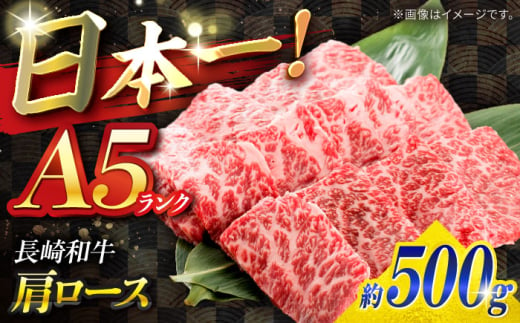 【A5ランク】長崎和牛 肩ロース 500g / 和牛 国産 牛肉 にく ブランド牛 真空 / 南島原市 / ミカド観光センター [SEC005]