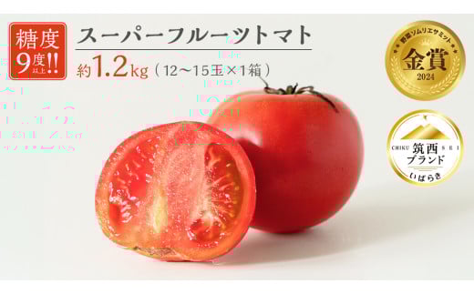 スーパーフルーツトマト 中箱 約1.2kg × 1箱 【 大玉 12～15玉/1箱】 糖度9度 以上 トマト とまと フルーツトマト  フルーツ 野菜 やさい 高糖度 [AF001ci]