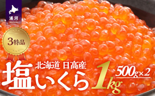 日高中央漁業協同組合」のふるさと納税 お礼の品一覧【ふるさとチョイス】