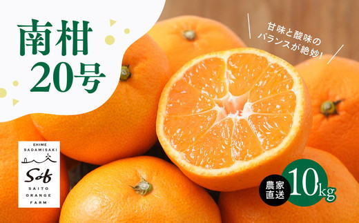 【先行予約】Saito Orange Farmの南柑20号10kg ｜ 温州みかん 代表 柑橘 みかん ミカン フルーツ  果物 愛媛　※離島への配送不可　※2024年12月上旬頃より順次発送予定 1162939 - 愛媛県伊方町