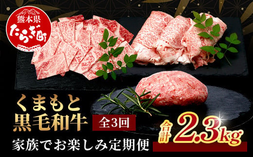 【定期便3回】くまもと黒毛和牛 家族でお楽しみ定期便 《 ロース すき焼き 焼肉 ハンバーグ10個 》【合計2.3kg】黒毛 和牛 焼き肉 すスキヤキ 焼き肉 上質 ブランド牛 国産 牛肉 冷凍 熊本県 113-0522