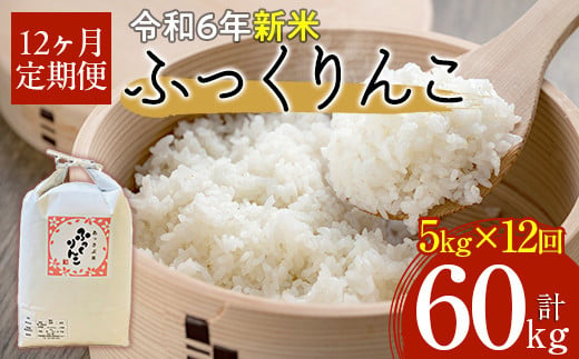 【令和6年産 新米】北海道厚沢部産ふっくりんこ60kg（5kg×12ヶ月連続お届け）  【 ふるさと納税 人気 おすすめ ランキング 米 ご飯 ごはん 白米 ふっくりんこ 精米 つや 粘り 北海道 厚沢部 送料無料 】 ASG033 680665 - 北海道厚沢部町