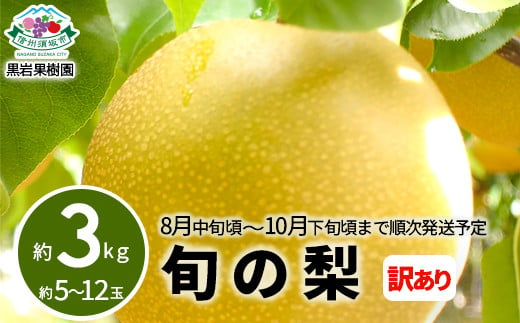 [No.5657-4130]【訳あり】旬の梨 約3kg (約5～12玉) 《黒岩果樹園》■2025年発送■※8月中旬頃～10月下旬頃まで順次発送予定