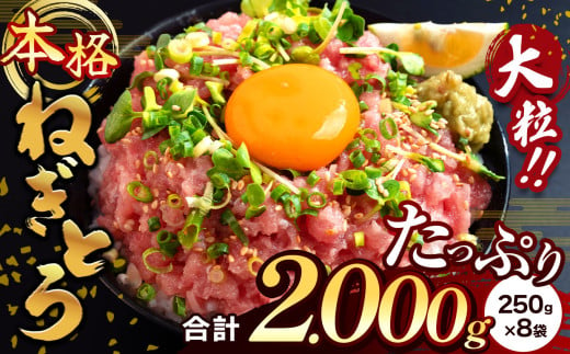 清幸丸水産 大人気！ねぎとろ2000g（250g×8袋） 555539 - 千葉県君津市