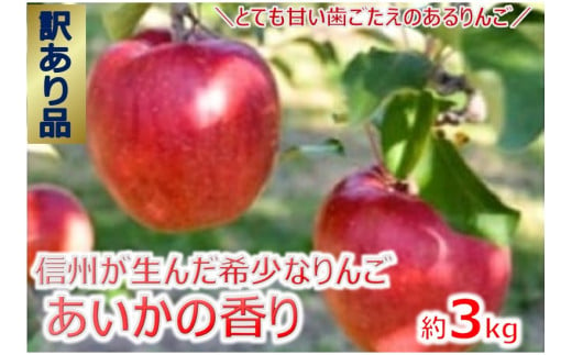 【009-44】傷等訳あり・ご家庭用　甘い!希少!りんご　幻のあいかの香り　3キロセット（りんご・リンゴ・林檎） 1552762 - 長野県伊那市