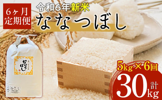 【令和6年産 新米】北海道厚沢部産ななつぼし30kg（5kg×6ヶ月連続お届け） 【 ふるさと納税 人気 おすすめ ランキング 米 ご飯 ごはん 白米 ななつぼし 精米 つや 粘り  北海道 厚沢部 送料無料 】 ASG019 680651 - 北海道厚沢部町