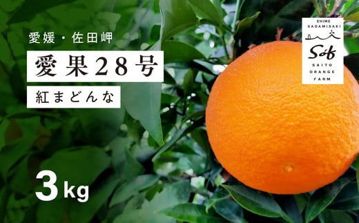 【先行予約】【数量限定】Saito Orange Farmの愛果28号（まどんな）3kg ｜ 柑橘 みかん ミカン フルーツ  果物 愛媛  高級 ブランド 限定 品種 甘い　※離島への配送不可　※2025年1月下旬頃より順次発送予定 1162937 - 愛媛県伊方町