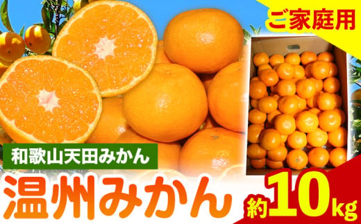 濃厚温州みかん ご家庭用 約10kg 和歌山天田みかん 北村農園 《11月下旬-1月中旬頃より出荷予定》和歌山県 日高町 送料無料 みかん 蜜柑 柑橘 果物