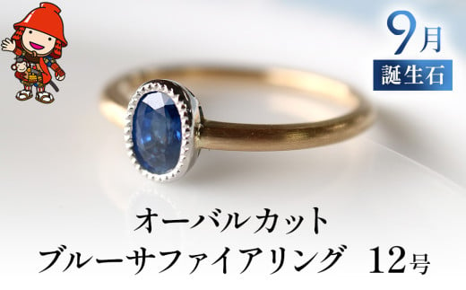 誕生石 9月 オーバルカット ブルーサファイア 指輪 リング 12号 K18 PT900 プラチナ アクセサリー 婚約指輪 プロポーズ 結婚指輪 誕生日 婚約 結婚 母の日 プレゼント 祝 記念日 女性 贈り物 大分県産 九州産 中津市 1557710 - 大分県中津市