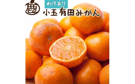 ＜11月より発送＞家庭用 小玉な有田みかん4kg+120g（傷み補償分）【わけあり・訳あり】【光センサー選果】