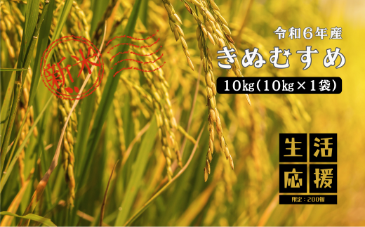 150252【令和6年産】しまね川本きぬむすめ10kg 1553519 - 島根県川本町