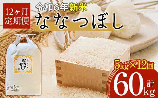 【令和6年産 新米】北海道厚沢部産ななつぼし60kg（5kg×12ヶ月連続お届け） 【 ふるさと納税 人気 おすすめ ランキング 米 ご飯 ごはん 白米 ななつぼし 精米 つや 粘り  北海道 厚沢部 送料無料 】 ASG021 680653 - 北海道厚沢部町