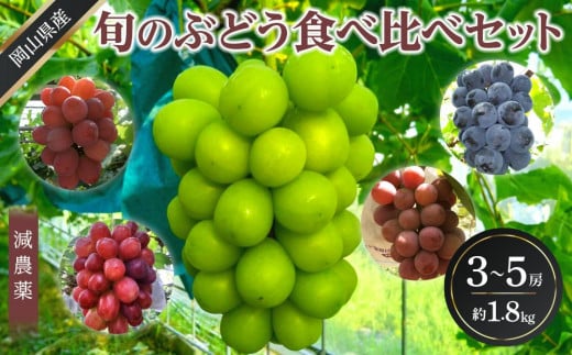 ぶどう 2025年 先行予約 旬のぶどう食べ比べセット 約1.8kg 3～5房 減農薬 ハウス栽培 ブドウ 葡萄  岡山県産 国産 フルーツ 果物 ギフト ばんの農園 776455 - 岡山県岡山市