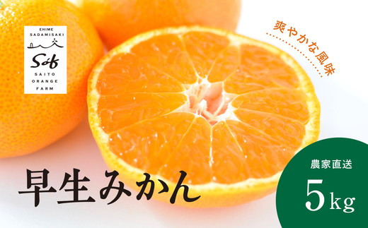 【先行予約】Saito Orange Farmの早生(わせ)みかん5kg ｜ 柑橘 みかん ミカン フルーツ  果物 愛媛　※離島への配送不可　※2024年11月中旬頃より順次発送予定 1162940 - 愛媛県伊方町