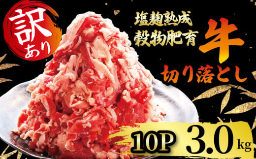 牛肉 切り落とし こま切れ 300g × 10パック 3.0kg 訳あり 訳アリ 小分け 個包装 簡単 調理  塩麹 塩こうじ 昆布 エキス 等 調味 熟成 穀物 肥育 牛 肉 冷凍 スライス 切落し こま切れ 小間切れ 細切れ 不揃い 京都 神戸 ミート フーズ  人気 おすすめ 14000円  1558080 - 京都府京都府庁