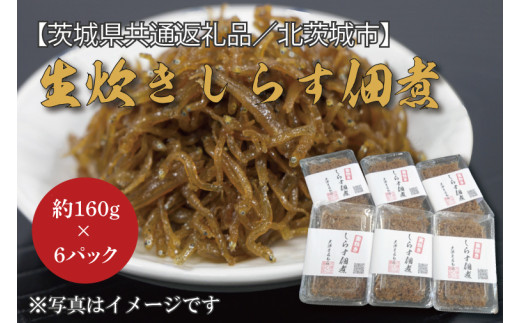 【茨城県共通返礼品／北茨城市】生炊きしらす佃煮 約160g×6パック(DO-3-1) 357778 - 茨城県行方市