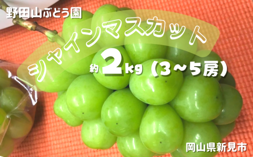 野田山ぶどう園 シャインマスカット 約2kg 3～5房 【先行予約 2025年10月上旬から順次発送】