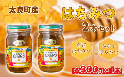 N-27 太良町産はちみつ2本セット【みかん蜜300ｇ、百花蜜300ｇ】　はちみつ ハチミツ 蜂蜜 ジャム みかんジャム 柑橘 みかん蜜 百花蜜 国産はちみつ 佐賀県産 太良町 こだわり 贈答品 お中元 お歳暮 セット 393329 - 佐賀県太良町