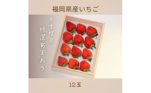 ＜先行受付＞特選あまおう12玉　12月より順次発送(吉富町)【1523906】 1539982 - 福岡県吉富町