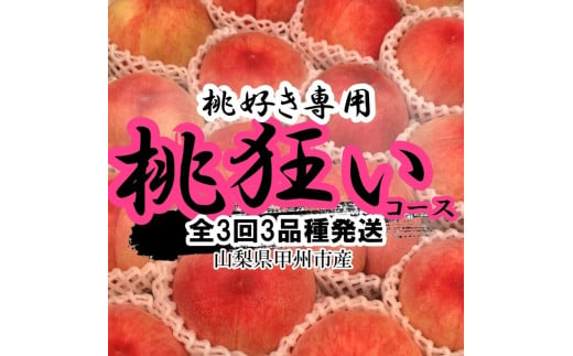 [全3回発送]甲州市産桃狂い 桃約1kg×3回 全3品種[2025年発送](HNT)D-180[桃 もも モモ 令和7年発送 定期便 期間限定 山梨県産 甲州市 フルーツ 果物]