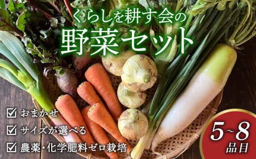 丸山農園の野菜セット おまかせ 6〜8品目 選べる 容量 1〜6人用 無農薬 くらしを耕す会 野菜 やさい サラダ 健康 人参 玉ねぎ 大根 野菜 やさい サラダ 健康 人参 玉ねぎ 大根 野菜 やさい サラダ 健康 人参 玉ねぎ 大根 野菜 やさい サラダ 健康 人参 玉ねぎ 大根 野菜 やさい サラダ 健康 人参 玉ねぎ 大根 ふるさと納税野菜 ふるさと納税サラダ 愛知県 南知多町