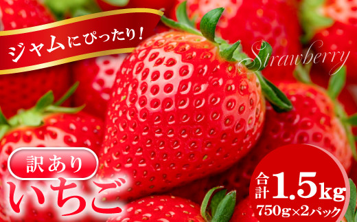 ジャムにぴったり　訳あり いちご（750g×2パック）【いちご わけあり 訳あり 果物 フルーツ 苺 イチゴ 不揃い 1.5kg 冷蔵 期間限定 季節限定】 1241989 - 島根県益田市