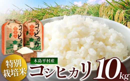 木島平産 コシヒカリ 約10kg | 米 白米 精米 特別栽培米 コシヒカリ こしひかり お米 おこめ 減農薬 長野県 木島平村 信州 1293967 - 長野県木島平村