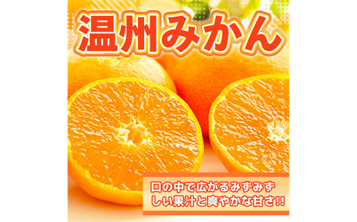 温州みかん 約7kg 2S～2L みかん 果物 くだもの 旬 益城町産【2024年12月上旬まで発送予定】