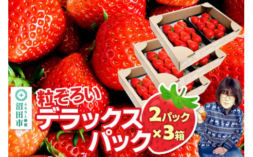 《2025年1月下旬以降発送》粒ぞろい「やよいひめ」デラックスパック 2パック×3箱 山口いちご園