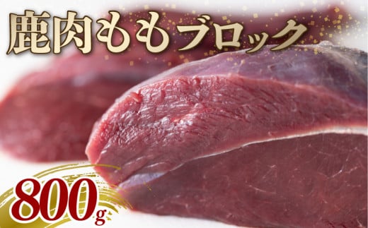 鹿モモ肉 ブロック 800g ジビエ 鹿肉 鹿 モモ 赤身 ブロック肉 カレー シチュー 煮込み料理 ヘルシー あっさり 食べやすい 美味しい 安全 新鮮 冷凍 京都府