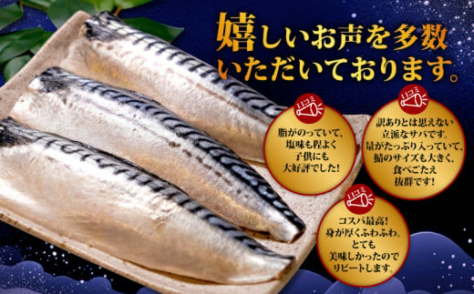 千葉県銚子市のふるさと納税 訳あり 塩さば フィレ 約3.6kg 鯖 ｻﾊﾞ 塩さば 塩鯖 切り身 切身 魚 海鮮 魚介 おつまみ おかず 惣菜 弁当 冷凍 大容量 人気 不揃い 規格外 傷 食品 冷凍 冷凍食品 グルメ 贈答 贈物 ギフト 長期保存 小分け お取り寄せ BBQ ふるさと納税 11000 11000円 千葉県 銚子市 辻野