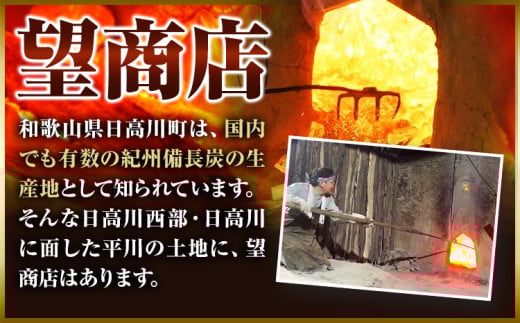 和歌山県日高川町のふるさと納税 紀州備長炭 荒並 約5kg 望商店 《30日以内に出荷予定(土日祝除く)》 和歌山県 日高川町 備長炭 紀州備長炭 炭 約5kg 高級白炭 BBQ 焼肉 炭火焼き キャンプ レジャー 囲炉裏 国産 備長炭 川遊び ロッジ 行楽 安全 安心 火起こし 大活躍